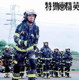 特勤在线观看,揭秘神秘特勤部队的英勇事迹  第2张