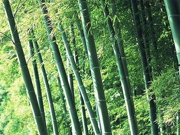 竹林小区新闻爆料最新,业主抗议物业,真相背后引关注 第3张 竹林小区新闻爆料最新,业主抗议物业,真相背后引关注 第3张